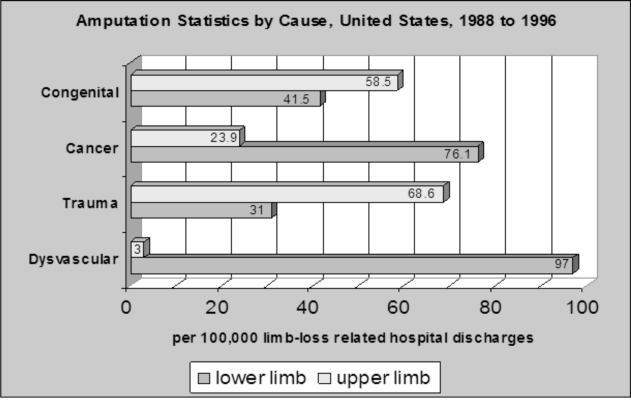 Amputation Statistics by Cause from the National Limb Loss Information Center, 2006